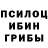Псилоцибиновые грибы GOLDEN TEACHER MrRuhavik