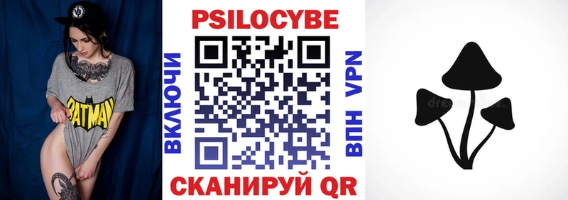 Купить закладки  Фурманов  Галлюциногенные грибы Cubensis 